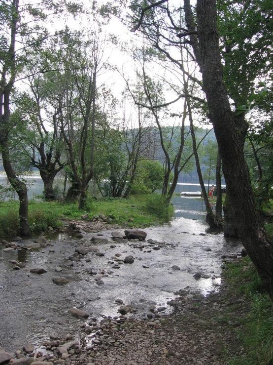 a creek that is flowing through some trees