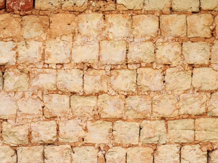 closeup of the bricked surface of an old wall