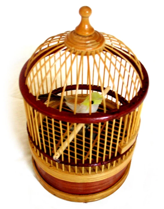 a bird is in a small wooden cage