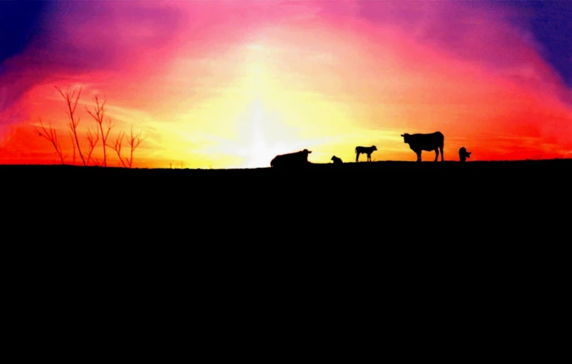 a group of cows silhouetted against a sunset