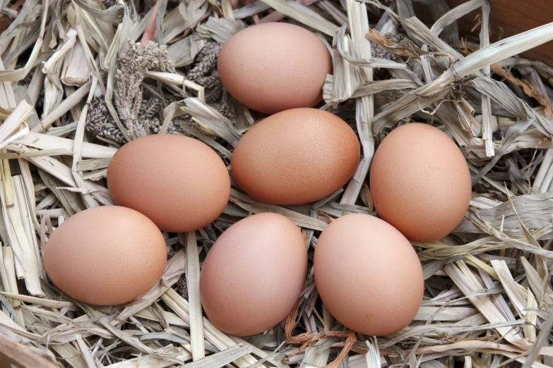 four brown eggs are placed in a pile of hay