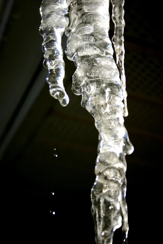a close up of ice hanging from a nch