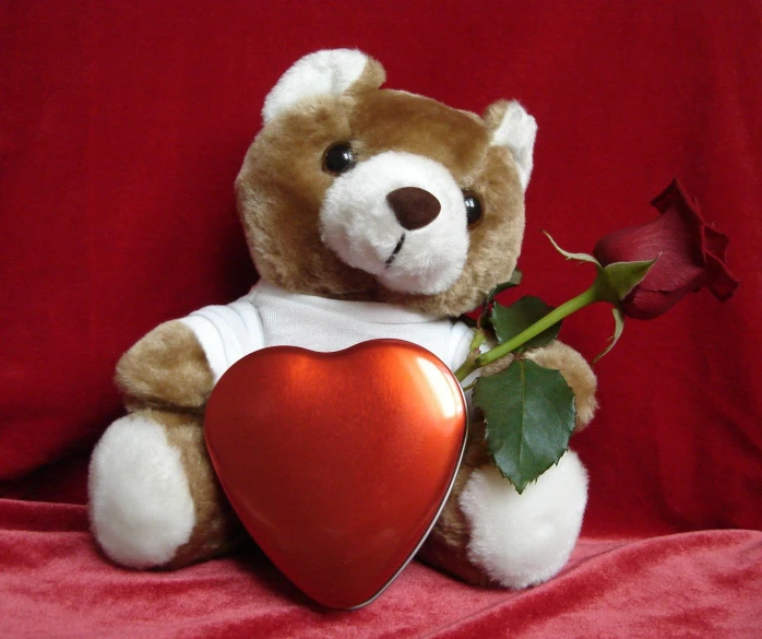 a brown teddy bear holding a heart shaped rose