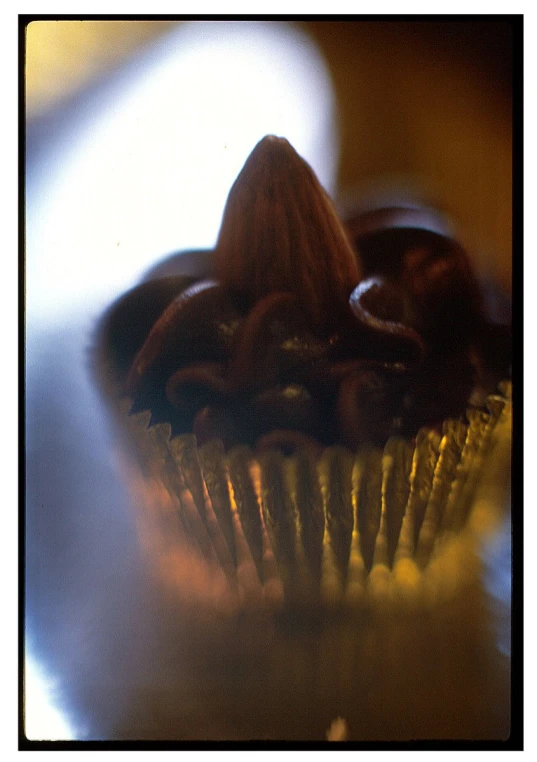 a close up of a small chocolate cupcake