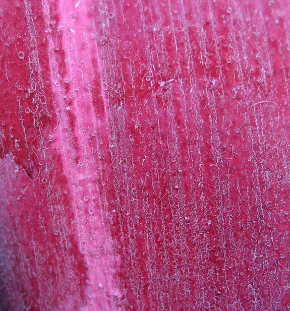 a close up view of a red object with lines in it
