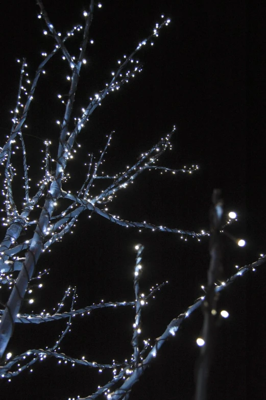 a tree with lots of lights on it and a black background