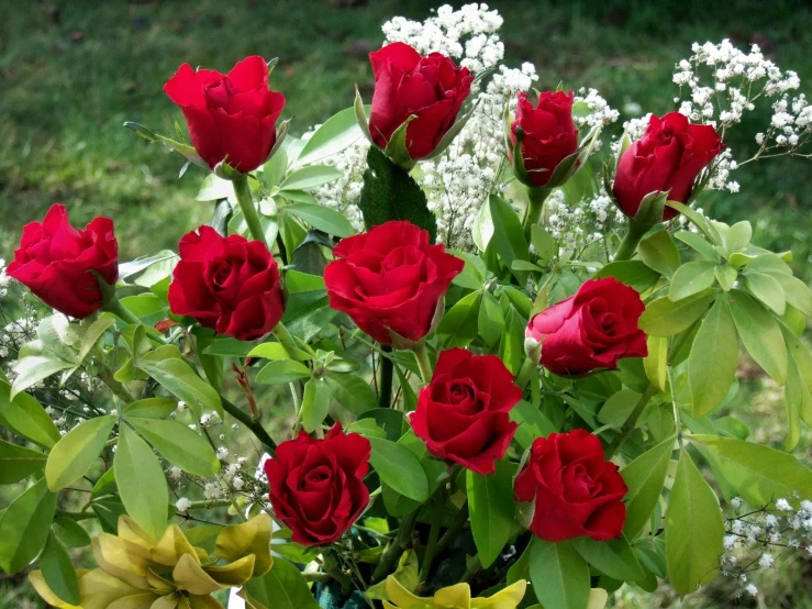 there are many roses in the vase, including some flowers