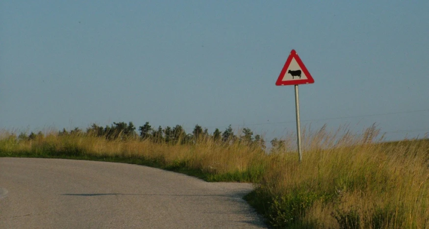 a road sign warning to stop dog traffic