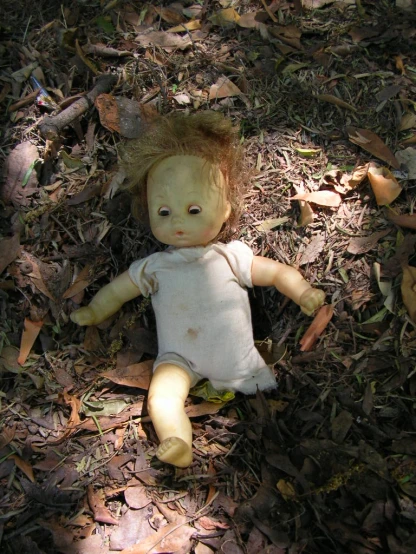 an antique doll on the ground next to a pile of leaves