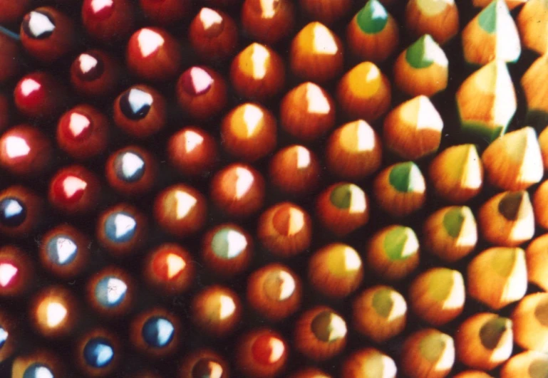 a close - up of the side of a large pile of colored pencils