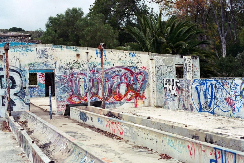 graffiti on the side of a building next to trees