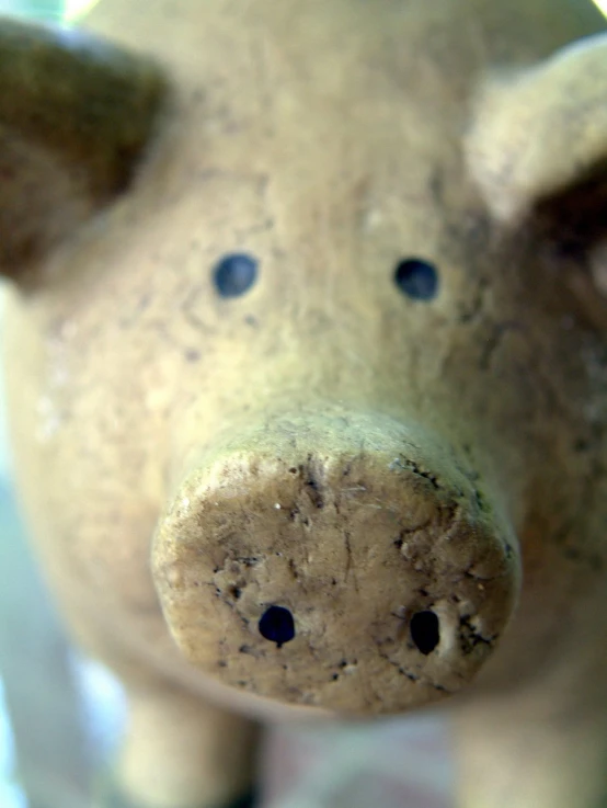 a small clay pig has one eye open