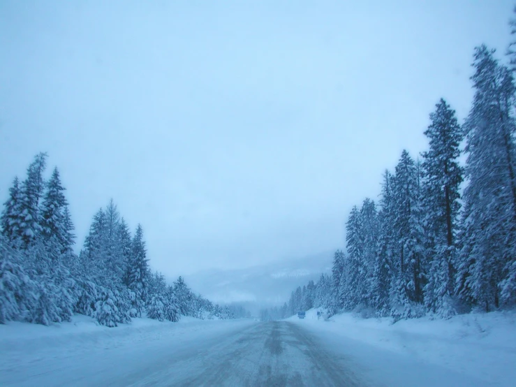 a road is covered in snow near trees