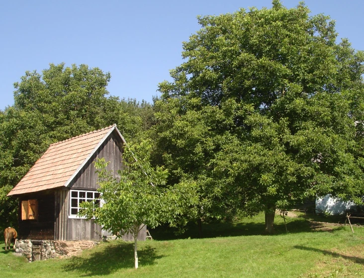 the house on the side is situated among the trees