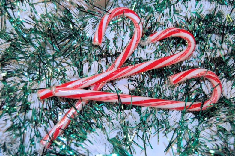 two christmas candy canes are in between christmas greenery