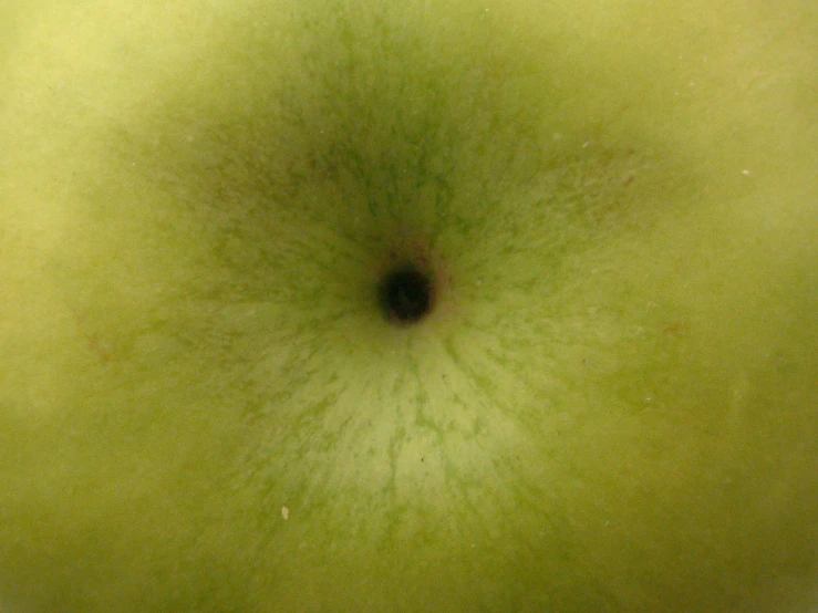 an apple with a large black spot under it