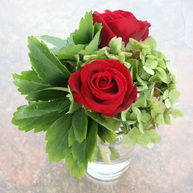 two roses in a glass vase full of green leaves