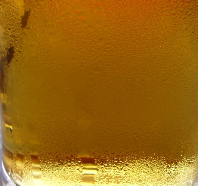 a beer is placed in an empty glass