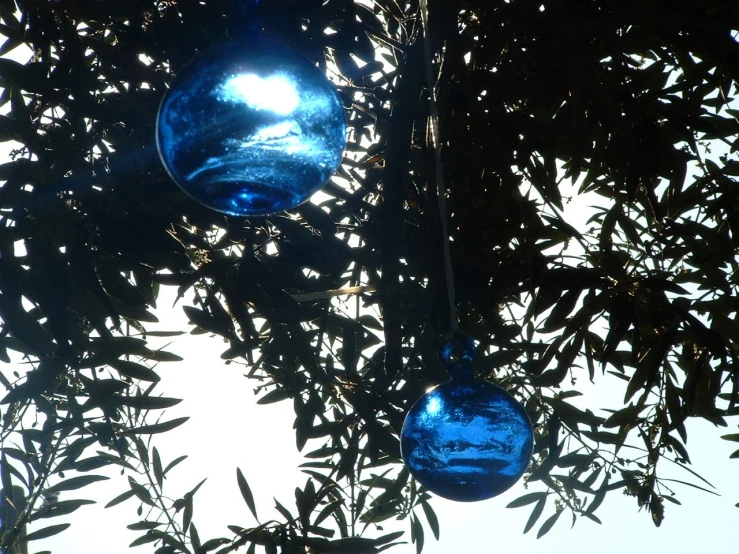 glass balls hanging from a tree at twilight