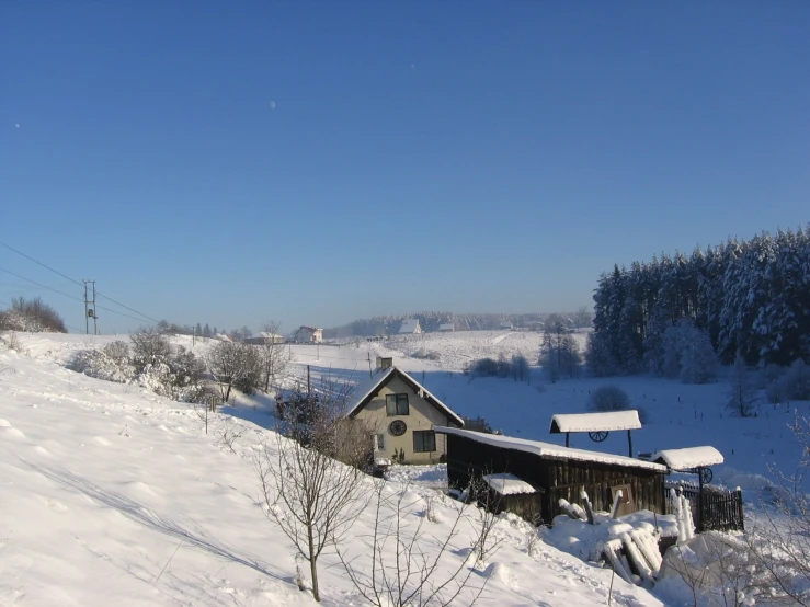 a snowy scene with some houses and trees