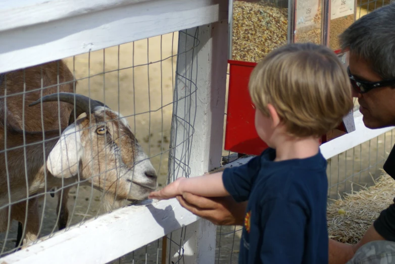 a man and  petting a goat through a fence