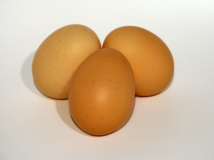 three brown eggs placed on a white surface