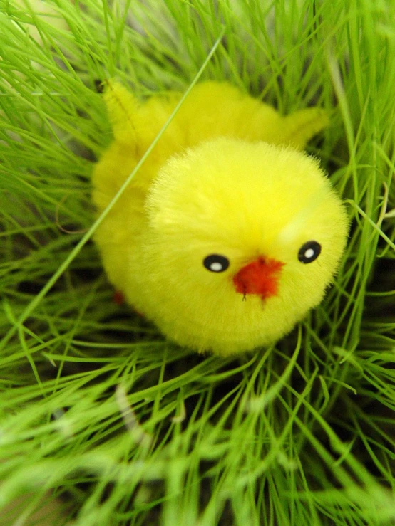 a small yellow chick in the green grass