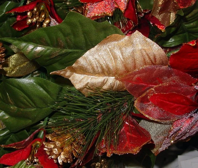 red and gold christmas poinsettias on a tree