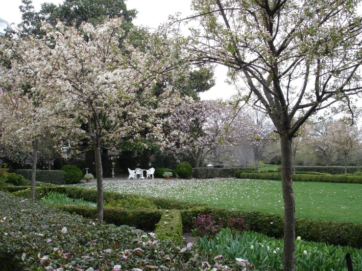 several people standing on the grass near some trees