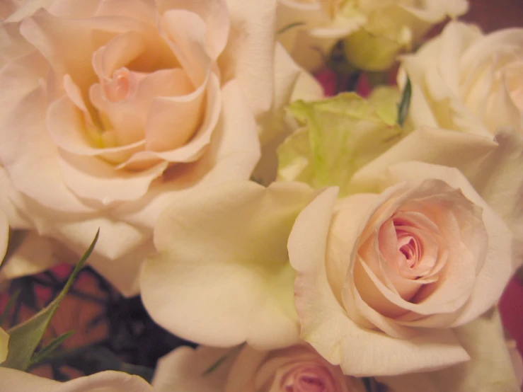 a close up view of some white and pink flowers