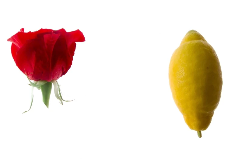 an orange with a red flower and a lemon