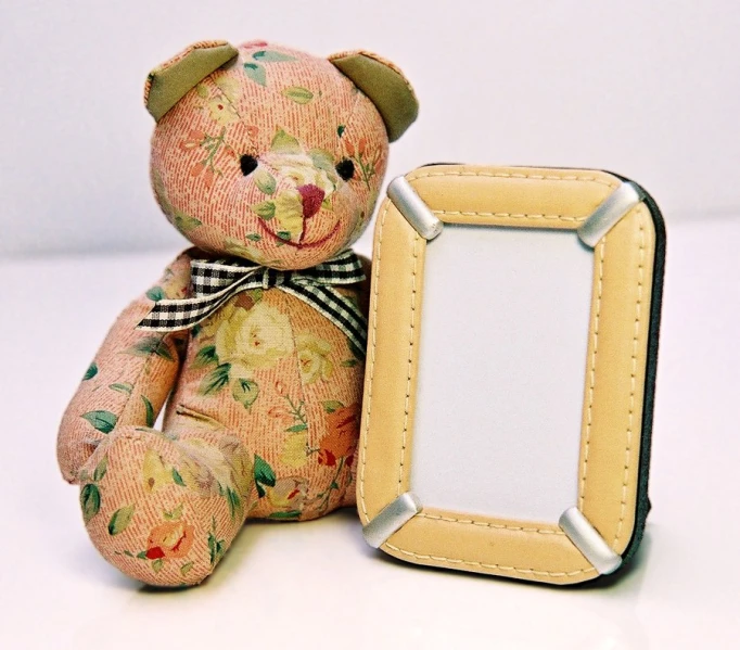 a small teddy bear sitting next to a frame