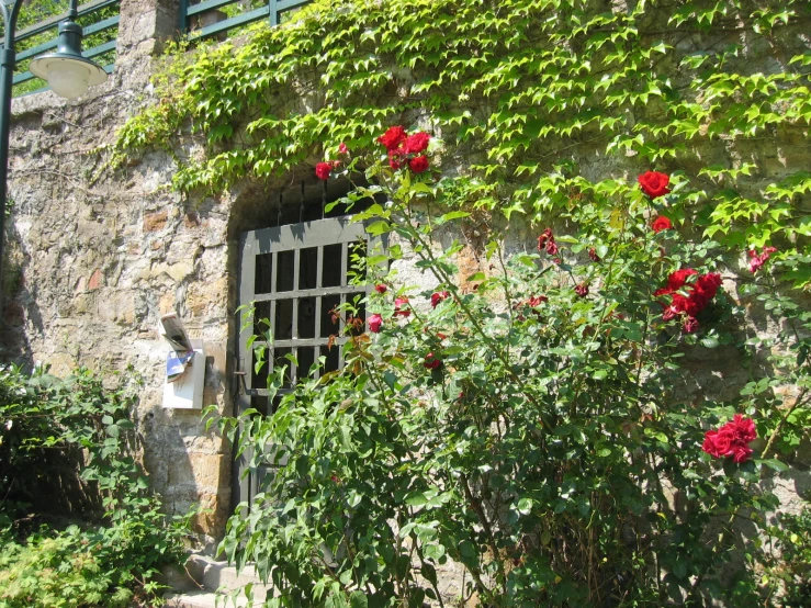 a stone house with a window surrounded by bushes