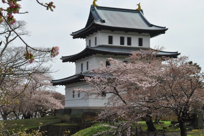 tall white tower with cherry blossoms on trees in front