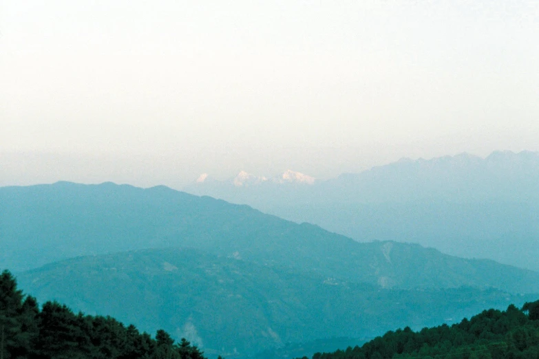 the view of trees from high up in the mountains