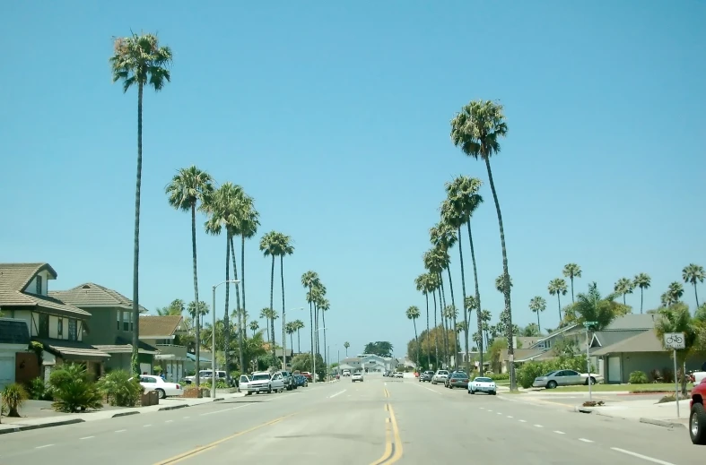 the view of an empty street with palm trees in the distance