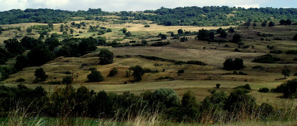 a valley is surrounded by many small trees