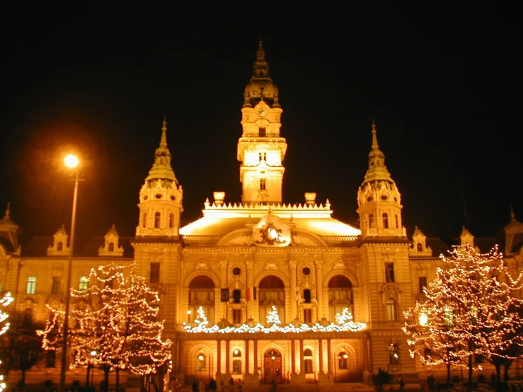 lit christmas trees and lights in front of a building