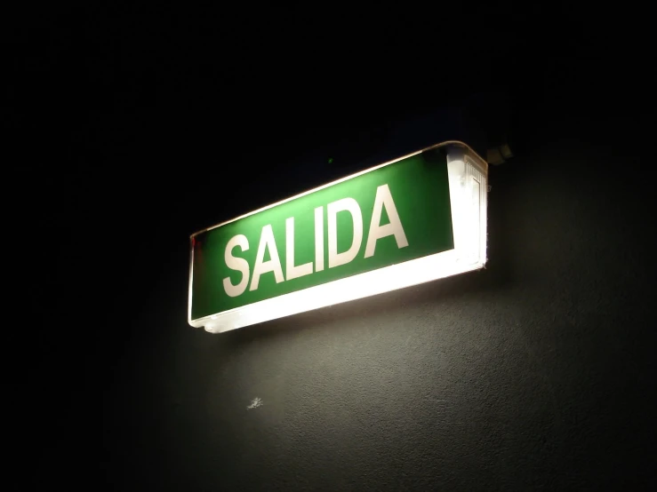 a street sign that says salida on a night background