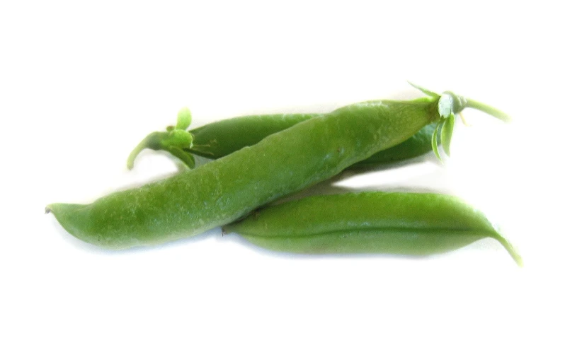 several fresh beans are laying together on a white surface