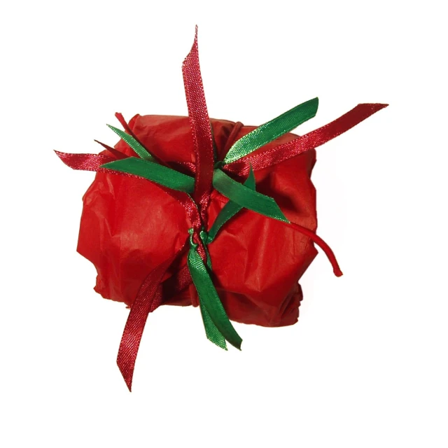 a piece of red and green ribbon tied to a small gift bag