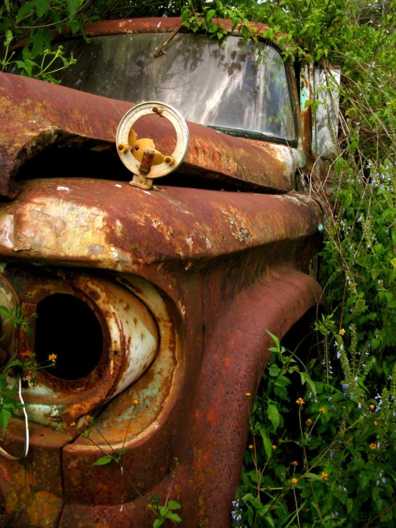 the rusty old car has some weeds growing around it