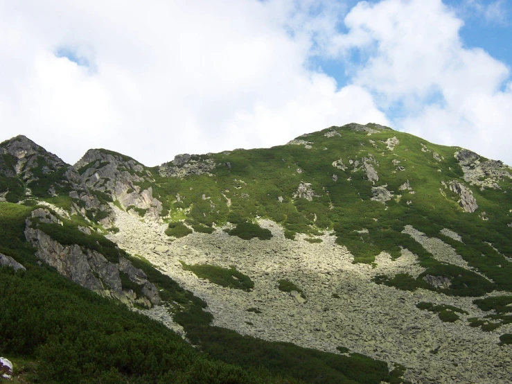 a very large rocky area covered in trees