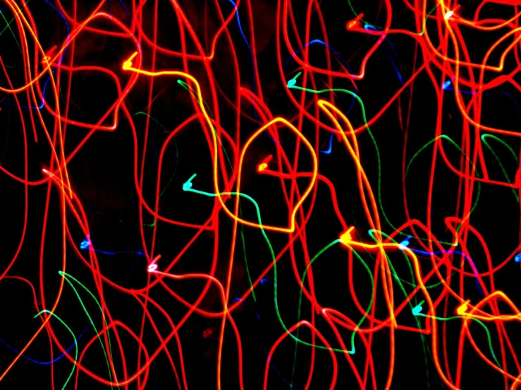 an image of a close up view of lights