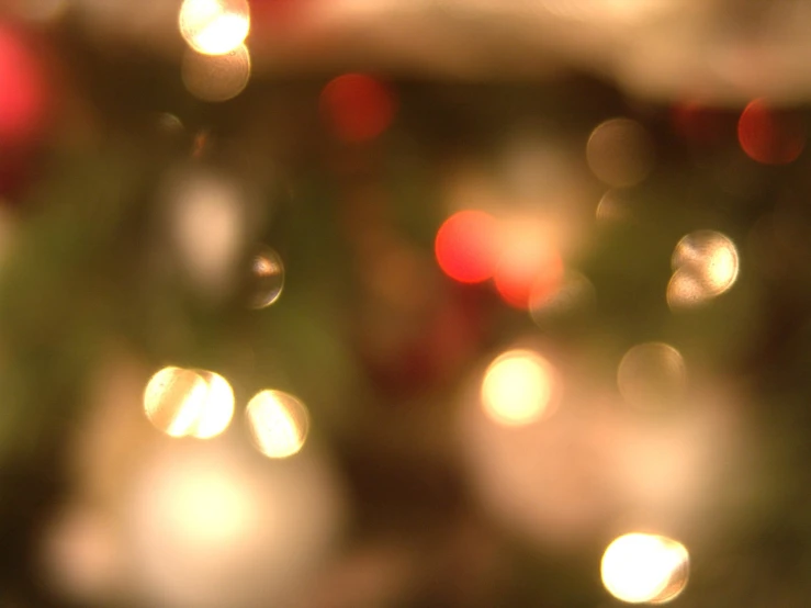 a blurred christmas tree with red and gold decorations