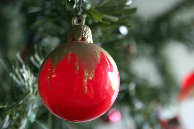 an ornament hanging from a tree is covered in lichen