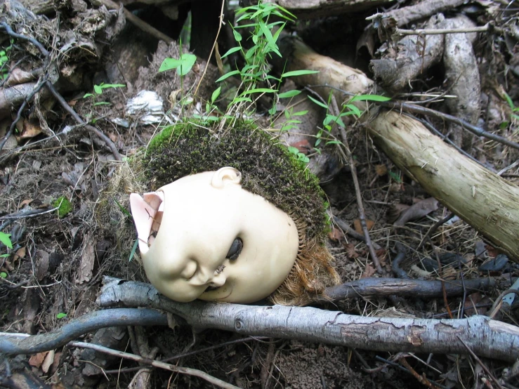 a face - shaped doll nestled among nches and debris