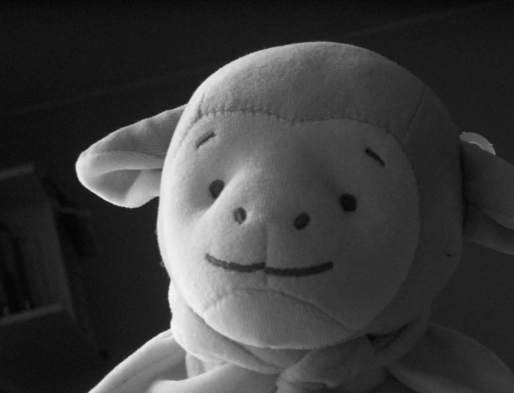 black and white pograph of a small toy monkey