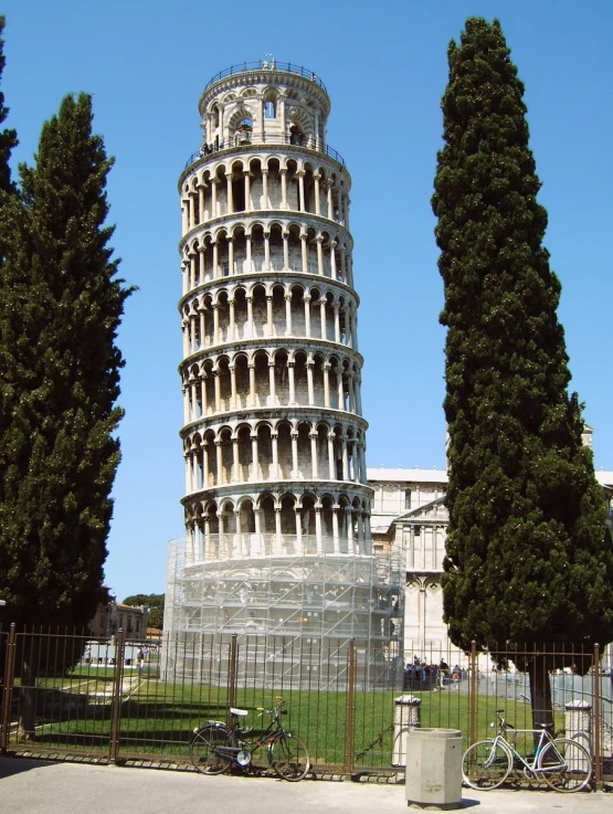the leaning tower stands between two trees