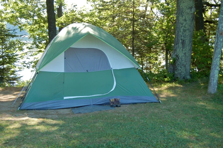 tent set up in grass near trees on sunny day